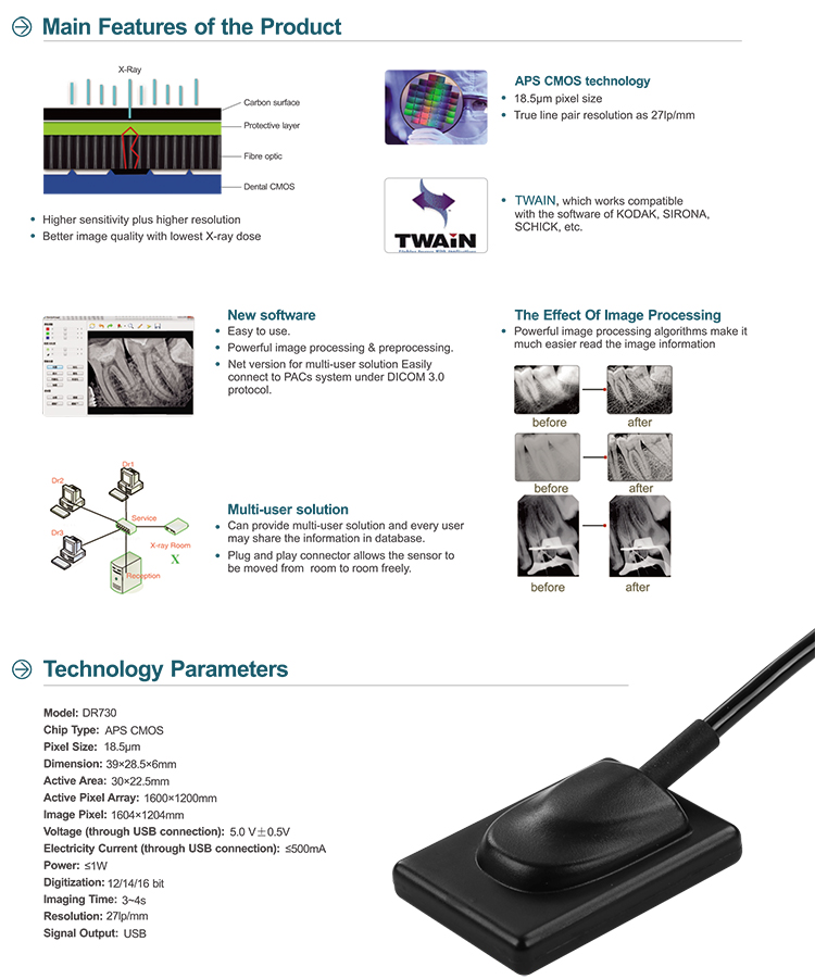 XR44 Digital Intraoral Sensor 